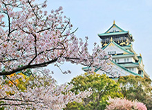 开云官方网-网友晒杨瀚森在美休赛期野球局视频,郭昊文、夏普等球员入镜